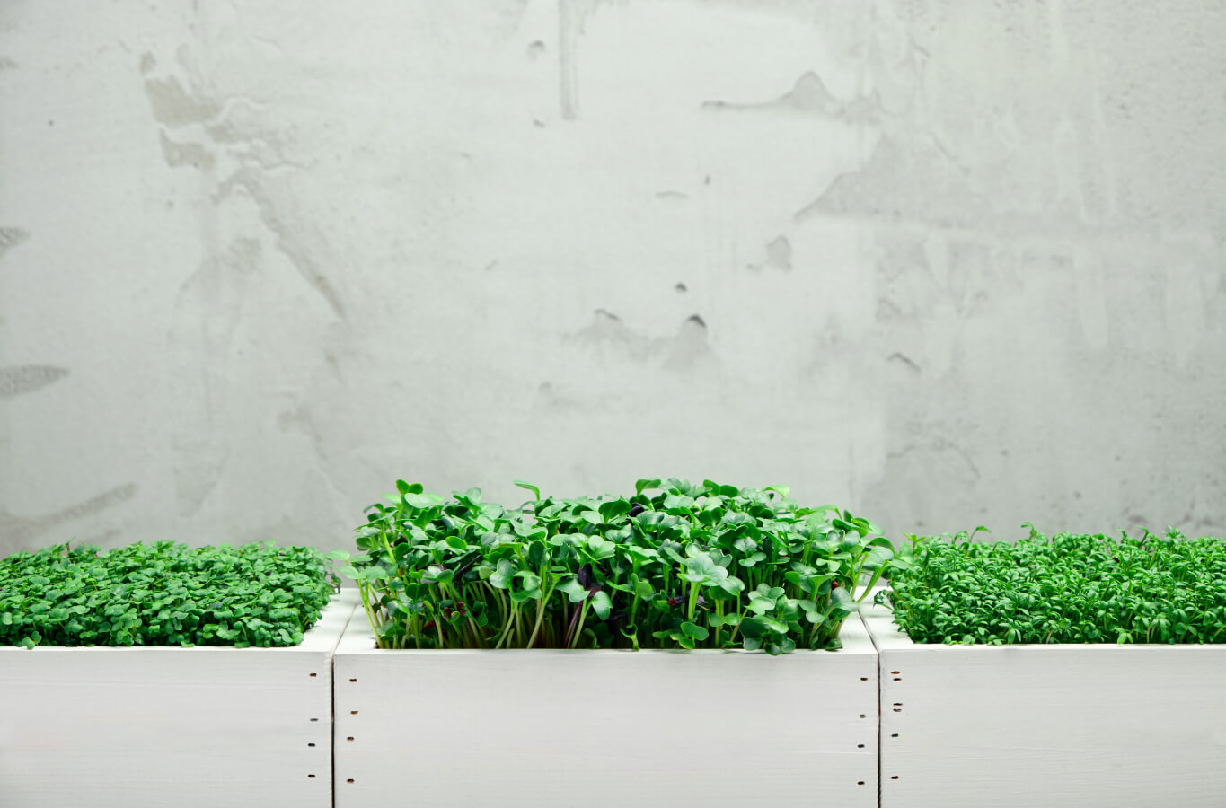 The primary benefits of vertical farming.